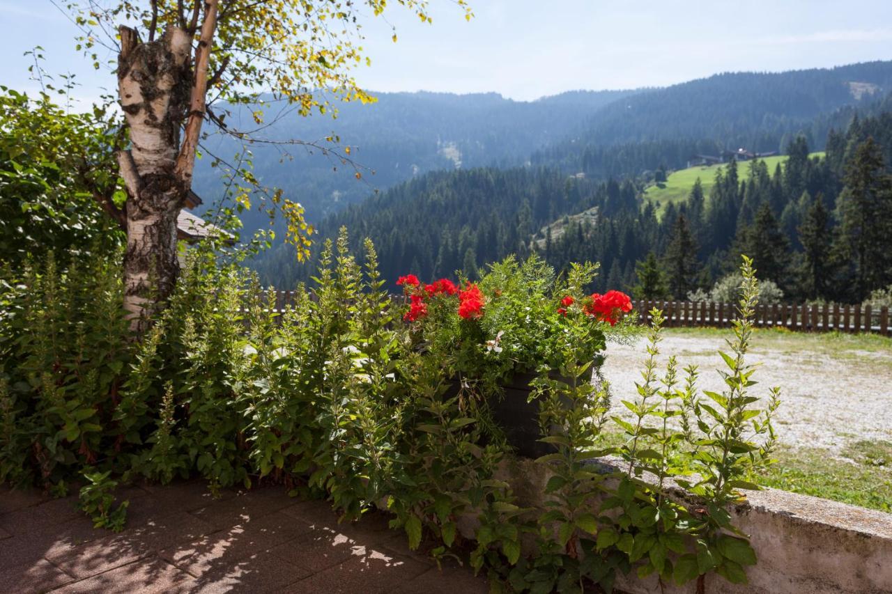 Alpenspitz Appartements - Garni - B&B 拉辛 外观 照片