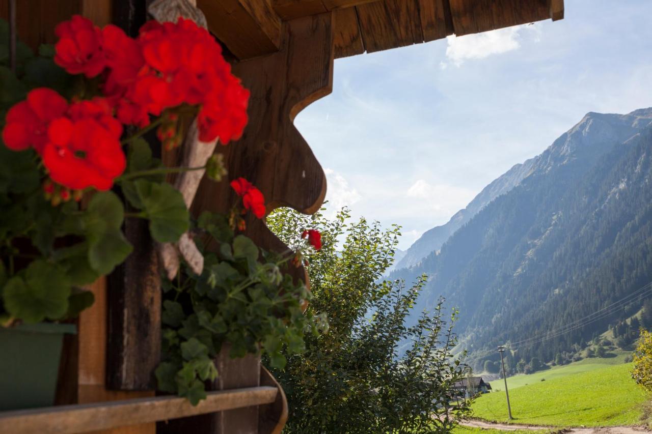 Alpenspitz Appartements - Garni - B&B 拉辛 外观 照片
