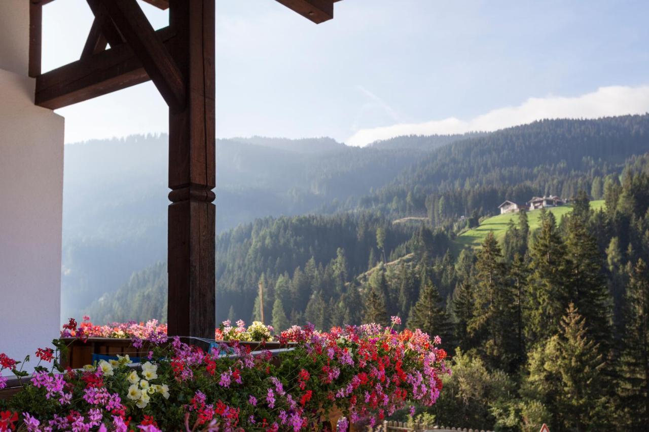Alpenspitz Appartements - Garni - B&B 拉辛 外观 照片